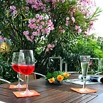 Hotel Le Palme 
