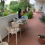 Le Palme 