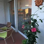Le Palme 
