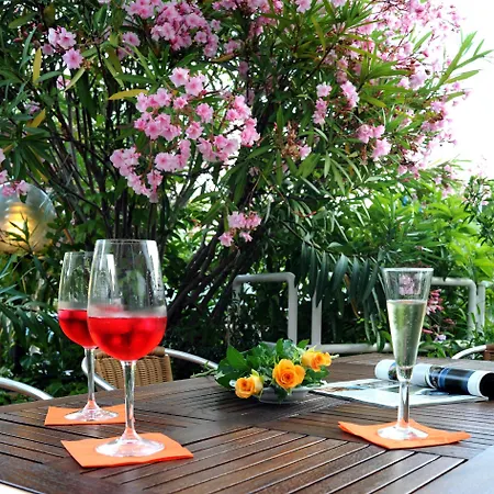 Hotel Le Palme 