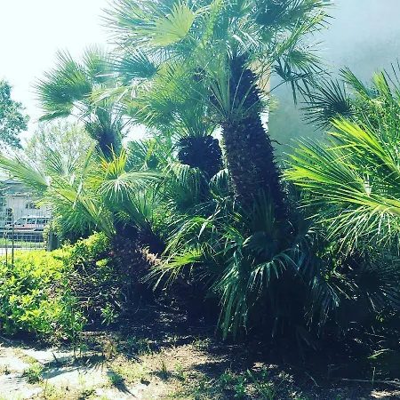 Le Palme 