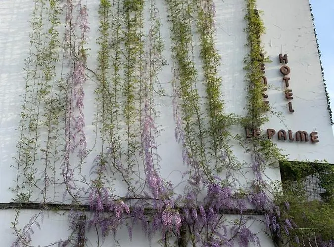 Le Palme 